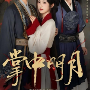 掌中明月（60集）精彩短剧后续