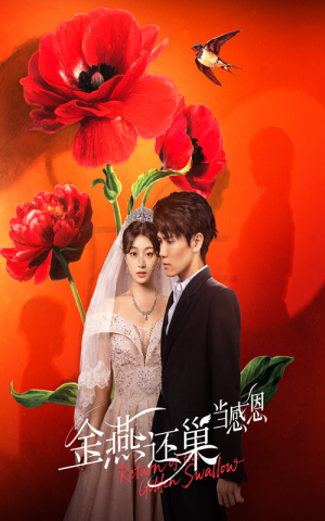 金燕还巢当感恩（55集）全集完整版