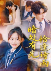 暗处有光恰逢诗雨(70集) 暗处有光恰逢诗雨(70集)真的太精彩了