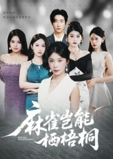 麻雀岂能栖梧桐（31集）短剧太精彩了