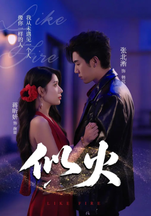 似火（80集）精彩的网络短剧
