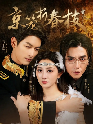 京笼折春枝（79集）热门爆款短剧