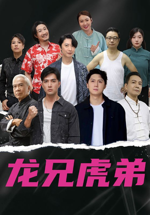 龙兄虎弟中文版（60集）在哪里看