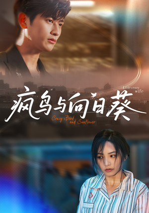 疯鸟与向日葵(40集) 疯鸟与向日葵(40集)短剧抢先看