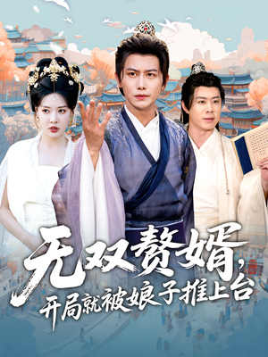 无双赘婿开局就被娘子推上台（80集）在线观看全集