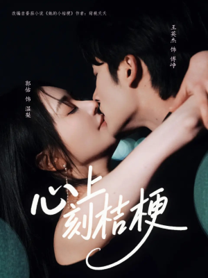 心上刻桔梗（90集）一个短剧看全集