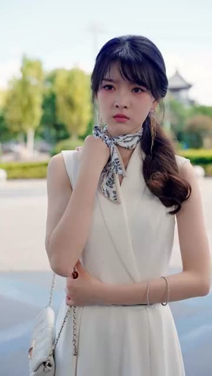 绝不臣服（72集）排行榜前十短剧