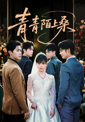 青青陌上桑（70集）火热短剧抢先看