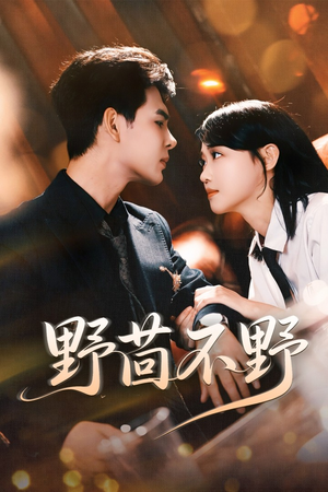 野茴不野（67集）独家内容免费看