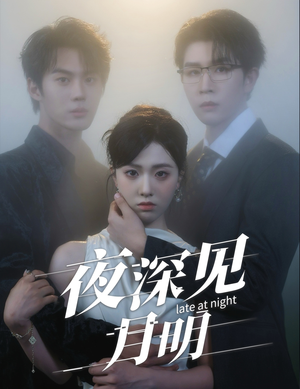 夜深见月明（50集）免费短剧资源