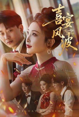 喜宴风波&替罪伴娘（30集）热播短剧来袭