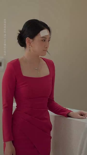 炽野遥光  (68集)在线免费观看