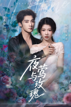 夜莺与玫瑰(66集) 夜莺与玫瑰(66集)一口气追完全集