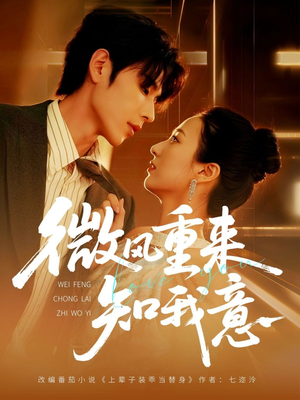 微风重来知我意(62集) 微风重来知我意(62集)短剧全集完整