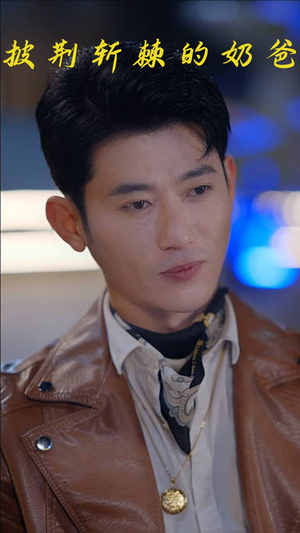 披荆斩棘的奶爸 (88集)热播短剧推荐