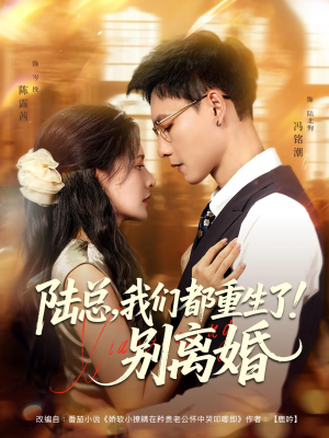 陆总我们都重生了别离婚（79集）哪个网站可以看