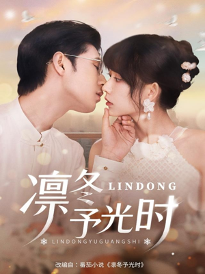 凛冬予光时(60集) 凛冬予光时(60集)让你一口气看完