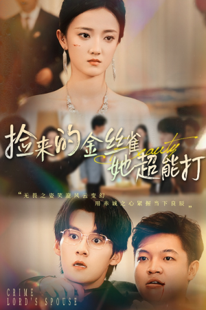 捡来的金丝雀她超能打&和小娇夫领证后夫人她不装了（65级）精彩好看的短剧