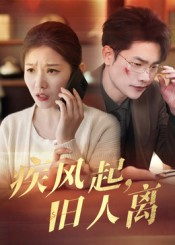 疾风起旧人离（32集）高分佳作免费看