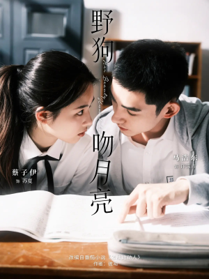 野狗吻月亮（68集）在哪个平台看