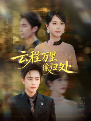 云程万里缘归处（95集）在线播放