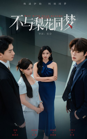 不与梨花同梦（50集）一共多少集