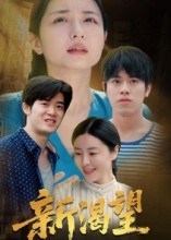 新渴望（30集）原创精彩短剧