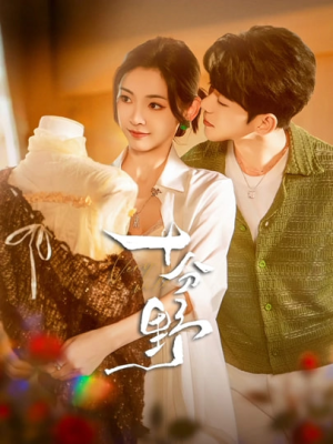 摘星予南风（73集）温柔追捕短剧