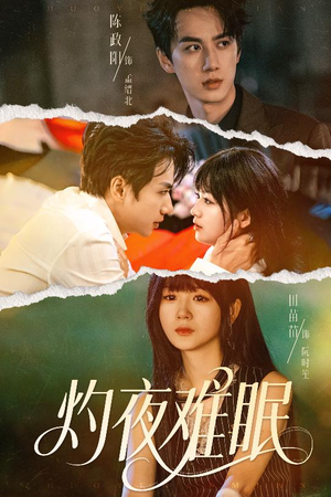 灼夜难眠(60集) 灼夜难眠(60集)在线看免费版