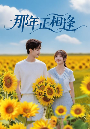 那年正相逢（60集）好看短剧看不停