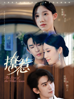 撩惹(80集) 撩惹(80集)怎么看全集