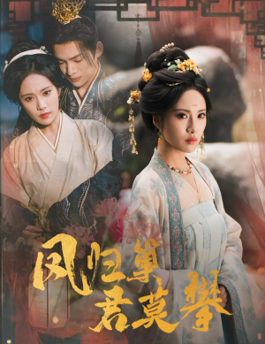 凤归巢君莫攀（60集）免费在线看