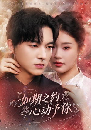 如期之约心动予你（82集）360网盘观看