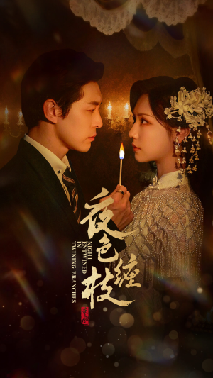 夜色缠枝百度HE版本(62集) 夜色缠枝百度HE版本(62集)UC网盘在线看