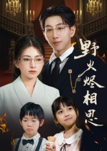 野火烬相思（61集）西瓜短剧免费看