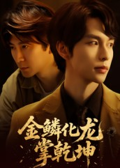 金lin化龙掌乾坤（54集）精彩的网络短剧