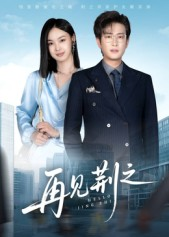 再见荆之(60集) 再见荆之(60集)在线观看全集