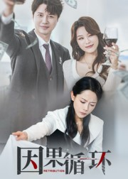 因果循环(45集) 因果循环(45集)短剧解说全集