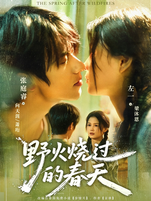 野火烧过的春天(85集) 野火烧过的春天(85集)剧情简介