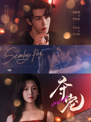 夺宠（88集）无需会员轻松看