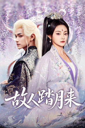 故人踏月来（60集）短剧免费看