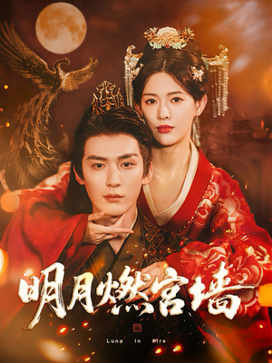 明月燃宫墙(60集) 明月燃宫墙(60集)短剧在线观看