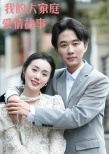 我的大家庭爱情故事(15集) 我的大家庭爱情故事(15集)推荐你们也去看