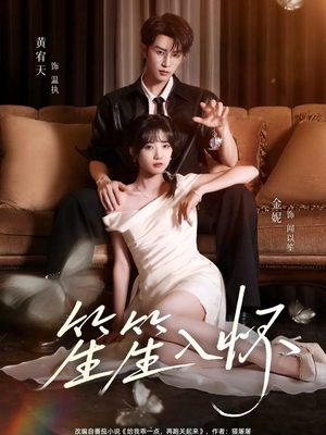 笙笙入怀(108集) 笙笙入怀(108集)好看短剧又来了