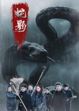 蛇影（25集）温柔追捕短剧