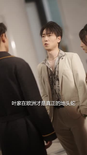 骆小姐你别想跑（30集）全集都在这里了