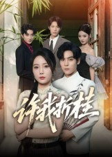 许我折桂(70集) 许我折桂(70集)真的好看吗