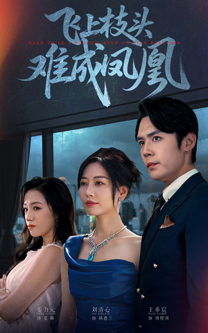 飞上枝头难成凤凰（47集）评价怎么样