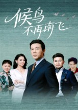 候鸟不再南飞(80集) 候鸟不再南飞(80集)女主谁演的