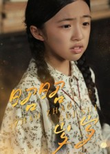 昭昭岁岁（30集）最新短剧抢先看